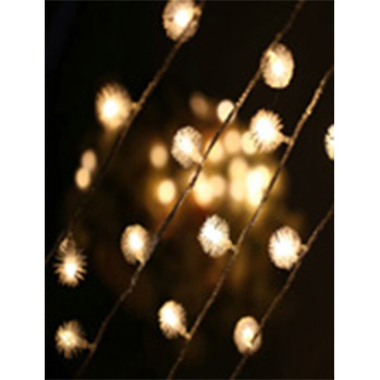 Geleide Fairy Light